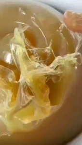 Grease Teje Gemuk Serbaguna Lithium Grease CVT