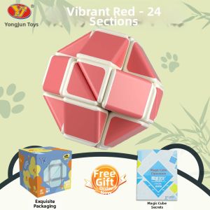 YJ | Educational Transforming Flexistick 24 Segments
