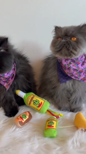 FuzzYard Cat Soft Plush Toys Collection Filled w Premium Catnip in Crinkly Sound  | 19 Trendy Design