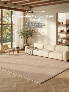 AOVOC | Wash-free Easy-care Minimalist Rug