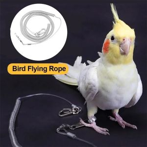 Bird Foot Chain Anti Bite Flight Training Rope Bird Foot Bracelet Pet Bird Flight Travel Training Bird Light Ankle Chain Parrot