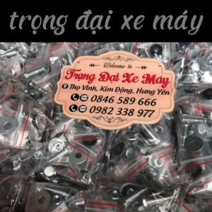 Bộ Ốc Giằng Phanh xe máy ( combo 10 bộ 20 bộ ) Trọng Đại XeMáy