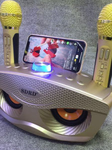 SDRD306 Portable Wireless Bluetooth Speaker with Dual Microphones for Karaoke Network Singing Outdoor Square Dancing