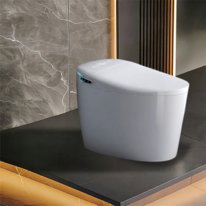 Automatic Sensing Electric Toilet Seat with UV Sterilization No Water Pressure Limit