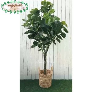 Pohon Artificial Daun Mangkokan X4 T140 Semi Latex Pot Dasar Cover Eceng Gondok Handle Dekorasi Rumah Aesthetic