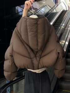 DANTING | Coffee Short Hooded Womens Down Jacket Winter 2026 New Style