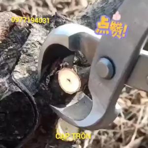 Kim cạp cây bon sai hàng nội địa JAPAN cao cấp bằng thép đúc nguyên khối không gỉ