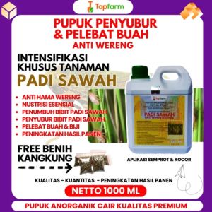 Pupuk Padi Sawah Anti Wereng: Solusi Padi Sawah