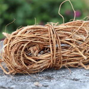 Authentic Wild Five-Fingered Hawthorn Root Freshly Harvested from Heyuan Guangdong Speciality Dried Soup Material Fine Root