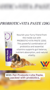Pet Probiotic+Vita Paste 60g/120g Pet Supplement Pampabawi ng Lakas