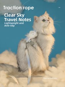 HOOPET | Anti-escape Cat Lead