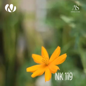 BAJU ATASAN PRIA & REMAJA KOKO NIBRAS NK 119 BROWN / BAJU NIBRAS LENGAN PENDEK PRIA