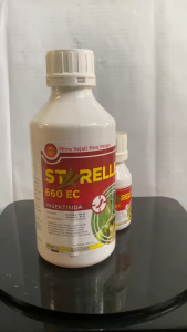 Insektisida STARELLE 660EC mengendalikan hama ulat grayak dr MKD