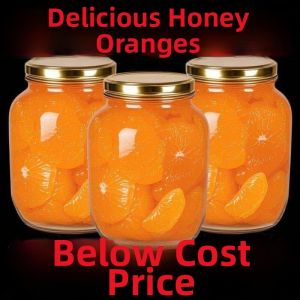 Fresh Canned Tangerines Whole Case