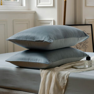 Summer Single Thread Silk Lycocell Pillowcase Double Sided Color Block Adult Pillow Cover Pair Buy Two for a Pair