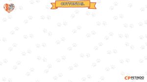 Makanan Kucing CHESTER 800gr Rasa TUNA Dry Cat Food