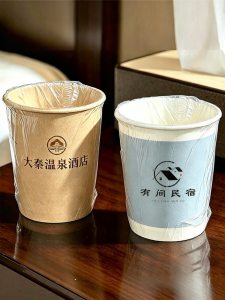 LANYUEXING | Disposable Thickened Oral Rinse Cups Individually Packaged 1pc