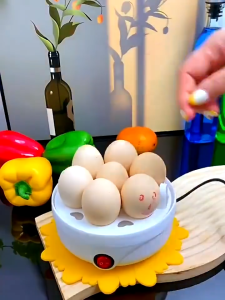 Multifunctional Double-Tier Egg Cooker — Suitable for steaming eggs vegetables and dumplings a versatile breakfast-making essential
