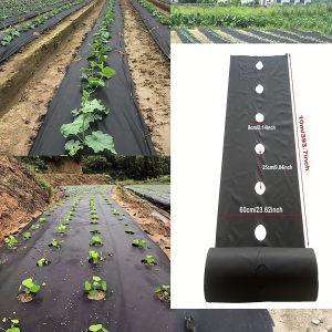 Black weed control cloth with planting holes suitable for garden and yard use vegetable and fruit planting and weed control