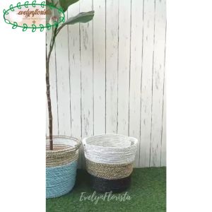 Pohon Imitasi Tanaman Hias Ketapang X3 T120 Cover Anyaman Seagrass Handle Dekorasi Rumah