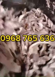 Máy trộn thực phẩm trộn nhân bánh trung thu 25kg mô tơ 3kw