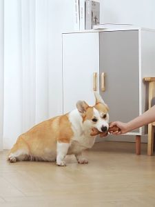 ไม้กัดใยสน สำหรับสุนัข กระดูกสุนัข ของเล่นหมา กระดูกขัดฟัน ของเล่นสัตว์เลี้ยง ไซส์ใหญ่18CM