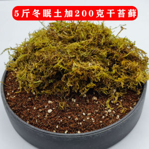 Vật Liệu Lót Rùa Brazil Vùng Đất Ngủ Đông Rùa Rùa Bốn Trong Một Tự Nhiên Đồ Dùng Giữ Ấm Cho Mùa Đông Vật Nuôi Leo Cát Đất Sét Dừa