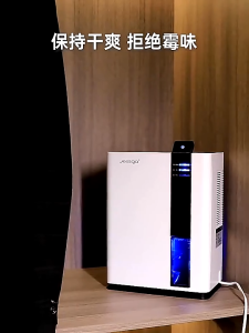 2.5L Negative Ion Air Purifying Home Bedroom Dehumidifier for Room/Home/Closet Heavy Duty Timer Switch High Power air purifier