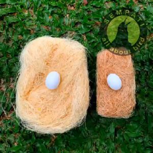 SEMPATI Serat Nanas Sarang Tempat Bertelur Burung Aurora Wijaya ASENAES