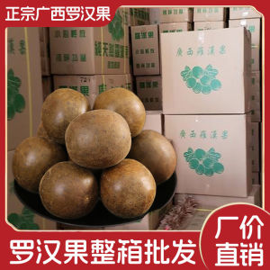 The Whole Box of Dried Arhat Fruit Is Supplied in Batches and Delivered to Guangxi Guilin Yongfu Specialty Tea Brewing Water Drinking Catering Pharmacy Commercial Use