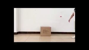 Shopping Trolley | Trolley Foldable 4-Wheels | Trolley Foldable 2-Wheels | Grocery Trolley | Mini Foldable Trolley with straps | Compact portable | Shopping Trolleys with Ropes (Light Weight)