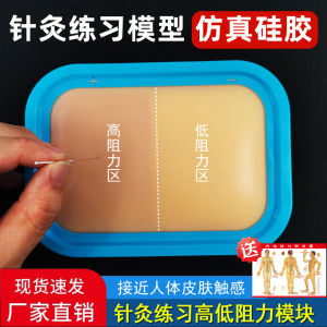 Acupuncture Practice Kit Realistic Skin Model for Traditional Chinese Medicine Students Needles Handling Set for Beginners