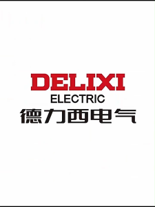 DELIXI 21V Cordless Blower High Power Industrial & Home Use Tool with 21V Battery and Charger