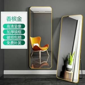 GUANGMANZHI | Full Body Dress Hanging Freestanding Aluminium Floor Mirror