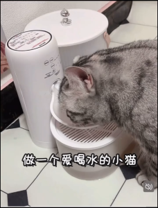 Auto pet fountain with sensor for cat dog puppy kitten