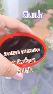 ( 1 ขวด ) ดินเน่า ปรับดินบำรุงดิน ด้วยจุลินทรีย์ 100% ปลอดสารเคมี