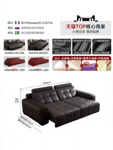 MEIZHAISHENGHUO | Multifunctional Electric Reclining Sofa Bed