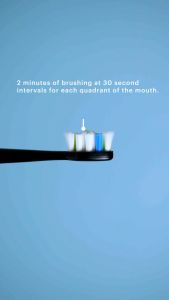 Welby Electric Toothbrush PRO Black Sikat Gigi Elektrik + Brush Head