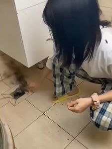 Pipe Drain Clog Remover Powder For Toilet & Kitchen 500g 下水道除臭剂去异味厕所卫生间管道厨房放反臭神器地漏马桶除异味