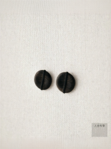 INSIS FEMME | Minimalist Elegant Rosewood Irregular Round Disc Earrings