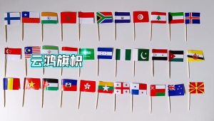 100pcs/pack Malaysia flag toothpickcupcake cocktail steak burger Fruit toothpick flag Tahan lama