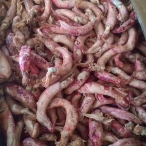 Ikan Asin Ikan Cumi Murah 1 Kg