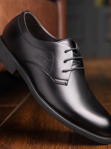 Warm Insulated Dress Leather Shoes for Men Low Top