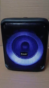 Brodu Portable Bluetooth Speaker BTS-2339 with 1PC DSP Wireless Microphone