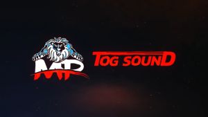 TOG SOUND ตู้ลำโพงสำเร็จรูป 4 นิ้ว คางหมู 600วัตต์ แถมสายลำโพงฟรี 2M  มี 7 รุ่นให้เลือก ตู้ลำโพง 4นิ้ว ตู้ลำโพงเปล่า 4นิ้ว + ทวิตเตอร์แหลมจาน 4นิ้ว ตู้ลำโพงเสียงแหลม 4นิ้ว ตู้ลำโพงประกอบ 4นิ้ว ตู้ลำโพงทวิตเตอร์ ตู้ลำโพงรถยนต์ ตู้ลำโพงบ้าน ตู้ลำโพง DIY