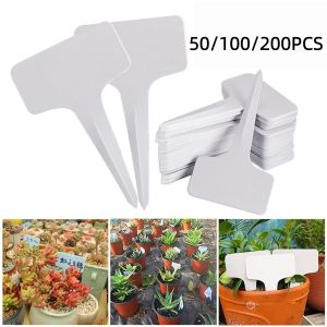 50/100/200pcs White Plastic PVC Plant Tags T Type Marker Nursery Garden Label Seedling Tray Pots Decoration Garden Labels 6x10cm