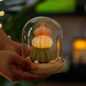 DIY ช่อมัดย้อมสีน้ำเงิน ของขวัญวันเกิดวันวาเลนไทน์ ของตกแต่งบ้าน ไฟตั้งโต๊ะ งานฝีมือจากเปลือกหอยธรรมชาติ ของขวัญสร้างสรรค์