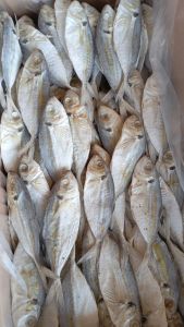ikan asin peda SELAR / CUE / TAJAN / JAPUH bersih 1 kg
