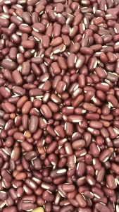 红豆 Red Bean 500g 中国 小红豆 天津红豆 China Red Bean