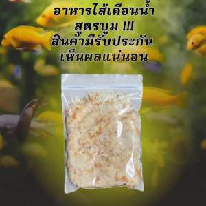 อาหารสูตรไส้เดือนน้ำบูม อาหารเร่งการวางไข่ของไส้เดือนน้ำ พ่อแม่พันธุ์ไส้เดือนน้ำ ชุดเพาะไส้เดือนน้ำ แผ่ยอ เศษยอ แผ่นแป้ง